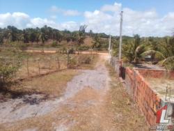 #T-186 - Terreno para Venda em Tibau do Sul - RN