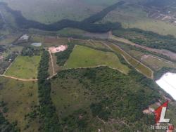 Venda em VILA FLOR - Vila Flor