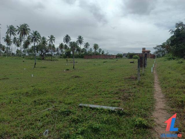 #T-445 - Área para Venda em Canguaretama - RN