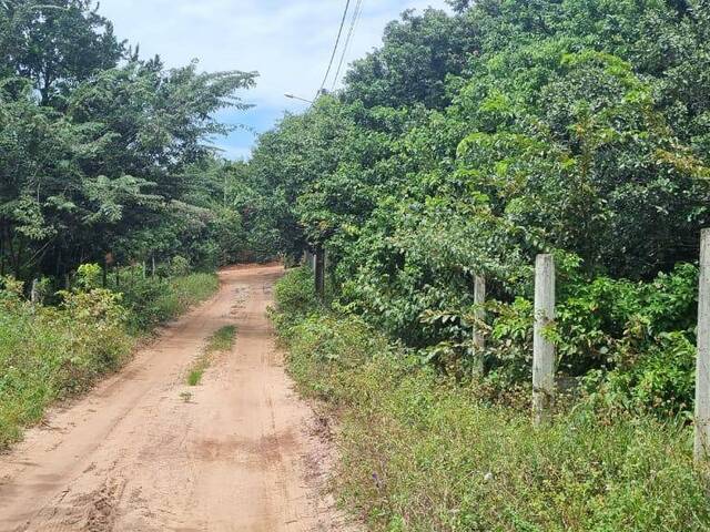 Venda em Praia da Pipa - Tibau do Sul