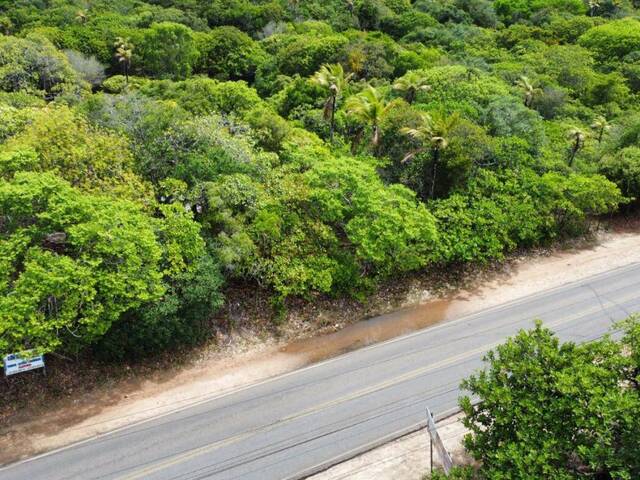 Venda em Praia da Pipa - Tibau do Sul