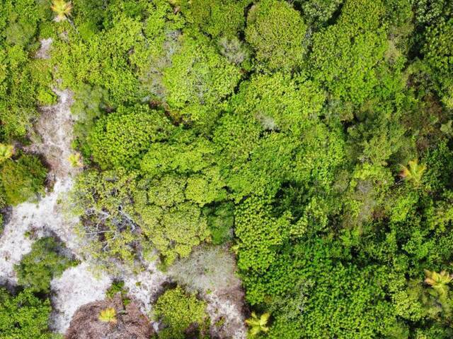 #T-001 - Área para Venda em Tibau do Sul - RN