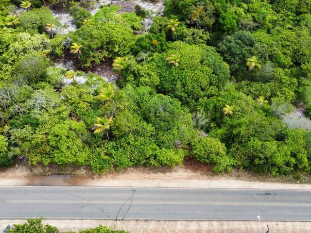 #T-001 - Área para Venda em Tibau do Sul - RN