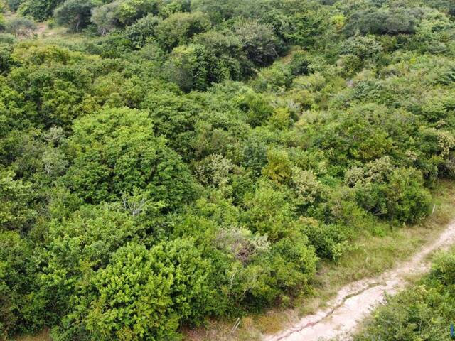 #T-417 - Terreno para Venda em Tibau do Sul - RN