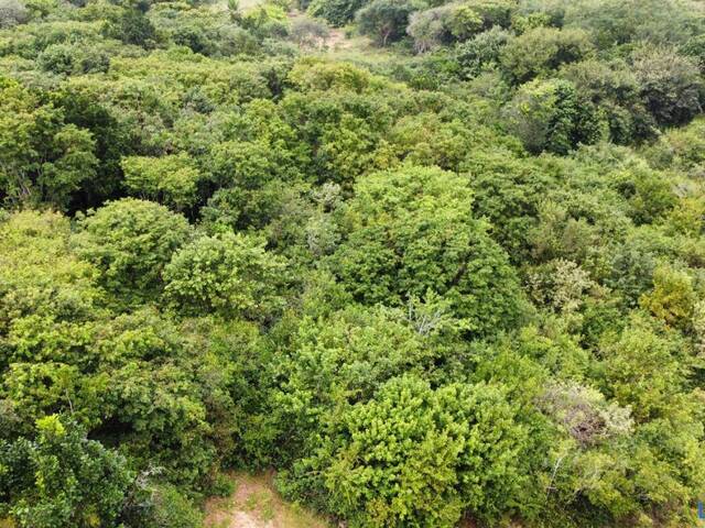 #T-417 - Terreno para Venda em Tibau do Sul - RN