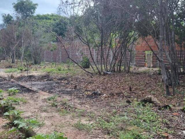 #T-406 - Terreno para Venda em Tibau do Sul - RN