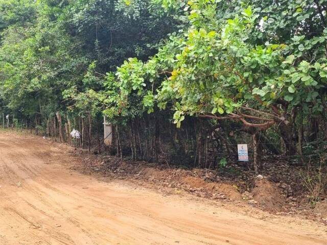 #T-358 - Terreno para Venda em Tibau do Sul - RN