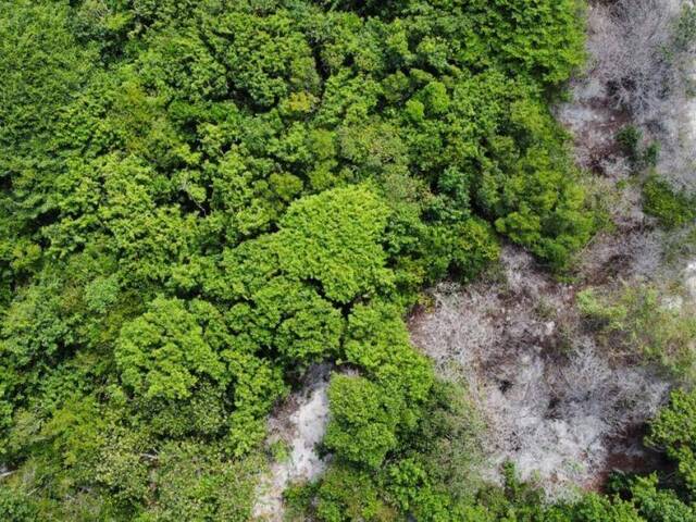 Venda em Sibaúma - Tibau do Sul