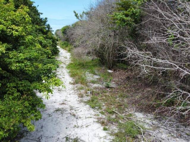 #T-429 - Terreno para Venda em Tibau do Sul - RN