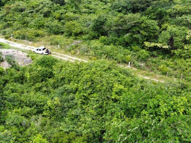 #T-407 - Terreno para Venda em Tibau do Sul - RN