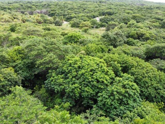 #T-407 - Terreno para Venda em Tibau do Sul - RN