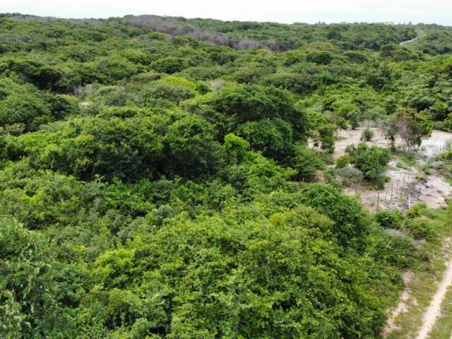 #T-407 - Terreno para Venda em Tibau do Sul - RN