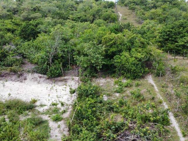 #T-394 - Terreno para Venda em Tibau do Sul - RN