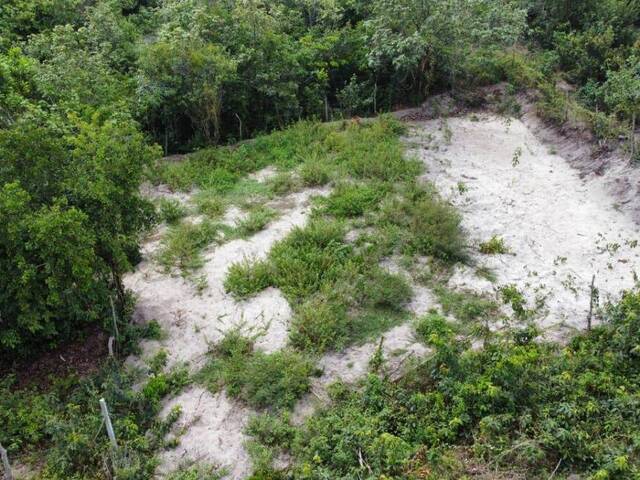 #T-394 - Terreno para Venda em Tibau do Sul - RN