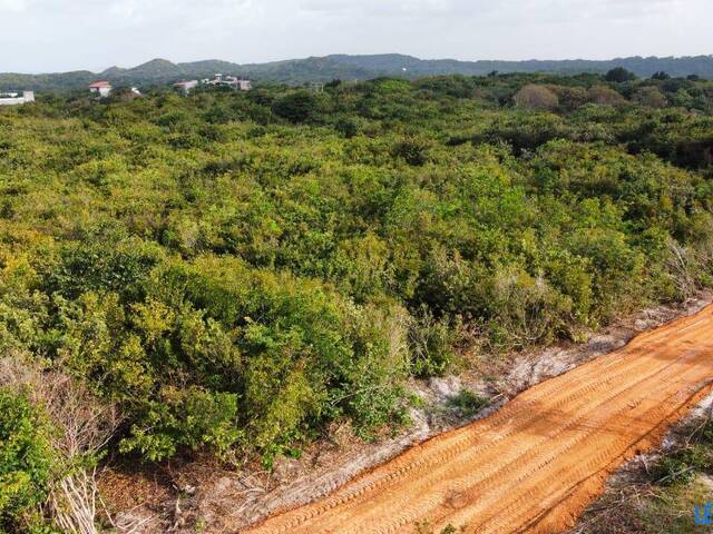 #T-359 - Terreno para Venda em Tibau do Sul - RN