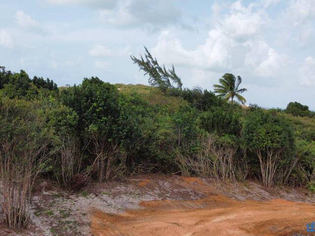 #T-359 - Terreno para Venda em Tibau do Sul - RN