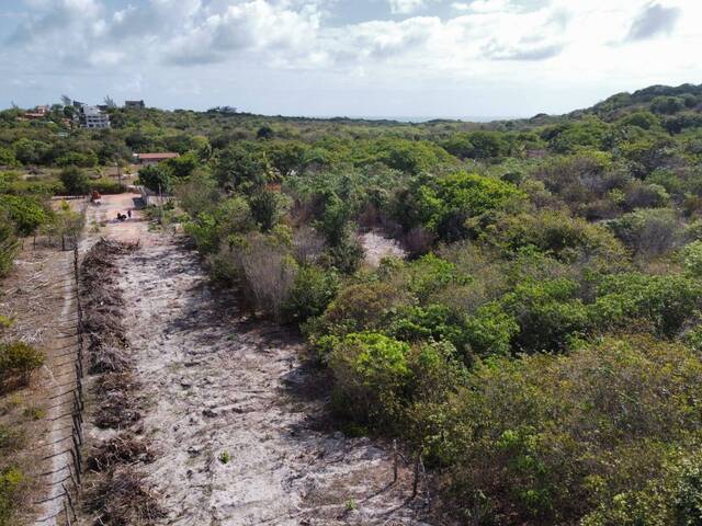 #T-464 - Área para Venda em Tibau do Sul - RN