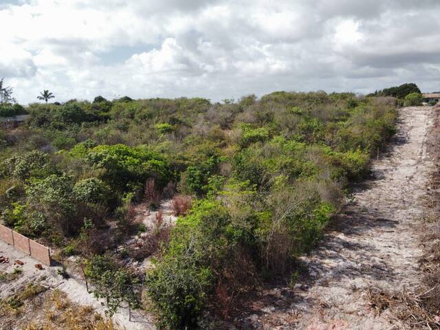 #T-464 - Área para Venda em Tibau do Sul - RN