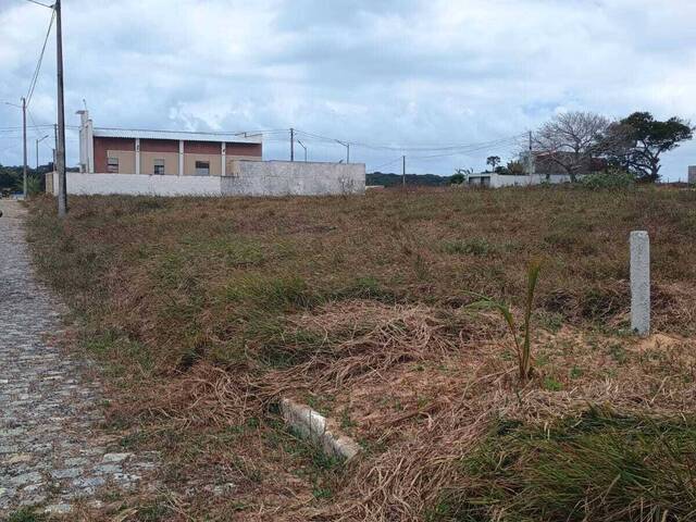 Venda em Tibau do Sul - Tibau do Sul