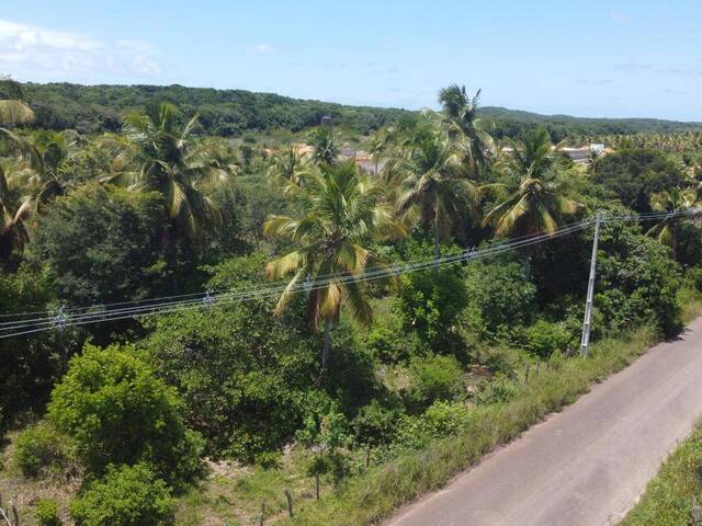 Venda em RN 003 - Tibau do Sul