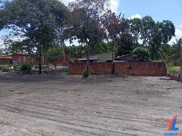 Venda em Praia da Pipa - Tibau do Sul