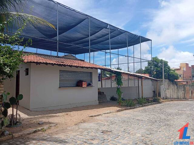 Venda em Praia da Pipa - Tibau do Sul