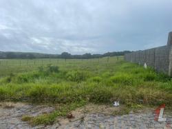 #T-203 - Terreno para Venda em Tibau do Sul - RN