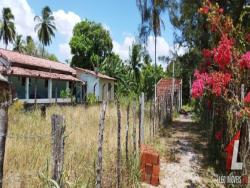 #T-005 - Terreno para Venda em Tibau do Sul - RN