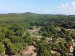 #T-265 - Terreno para Venda em Vila Flor - RN