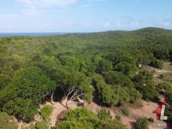 #T-265 - Terreno para Venda em Vila Flor - RN