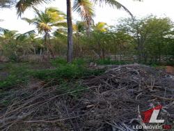 #T-282 - Terreno para Venda em Tibau do Sul - RN