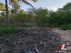 #T-282 - Terreno para Venda em Tibau do Sul - RN