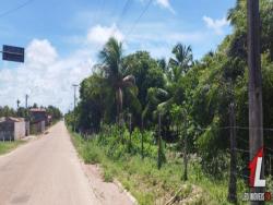 #T-130 - Terreno para Venda em Tibau do Sul - RN