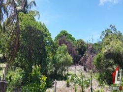 #T-130 - Terreno para Venda em Tibau do Sul - RN