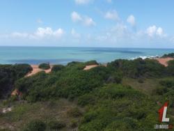 #T-310 - Terreno para Venda em Tibau do Sul - RN