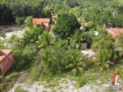 #T-315 - Terreno para Venda em Tibau do Sul - RN