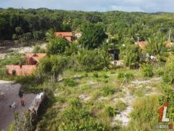 #T-315 - Terreno para Venda em Tibau do Sul - RN