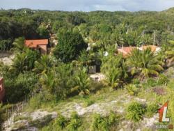 #T-315 - Terreno para Venda em Tibau do Sul - RN