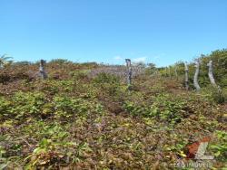 Venda em Barra do Cunhaú - Canguaretama