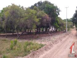 #T-349 - Terreno para Venda em Vila Flor - RN